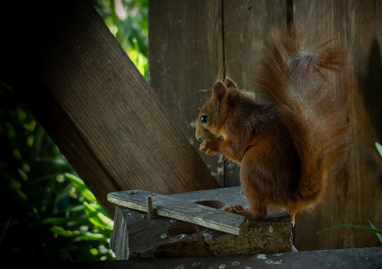 DSC01669.ajpg