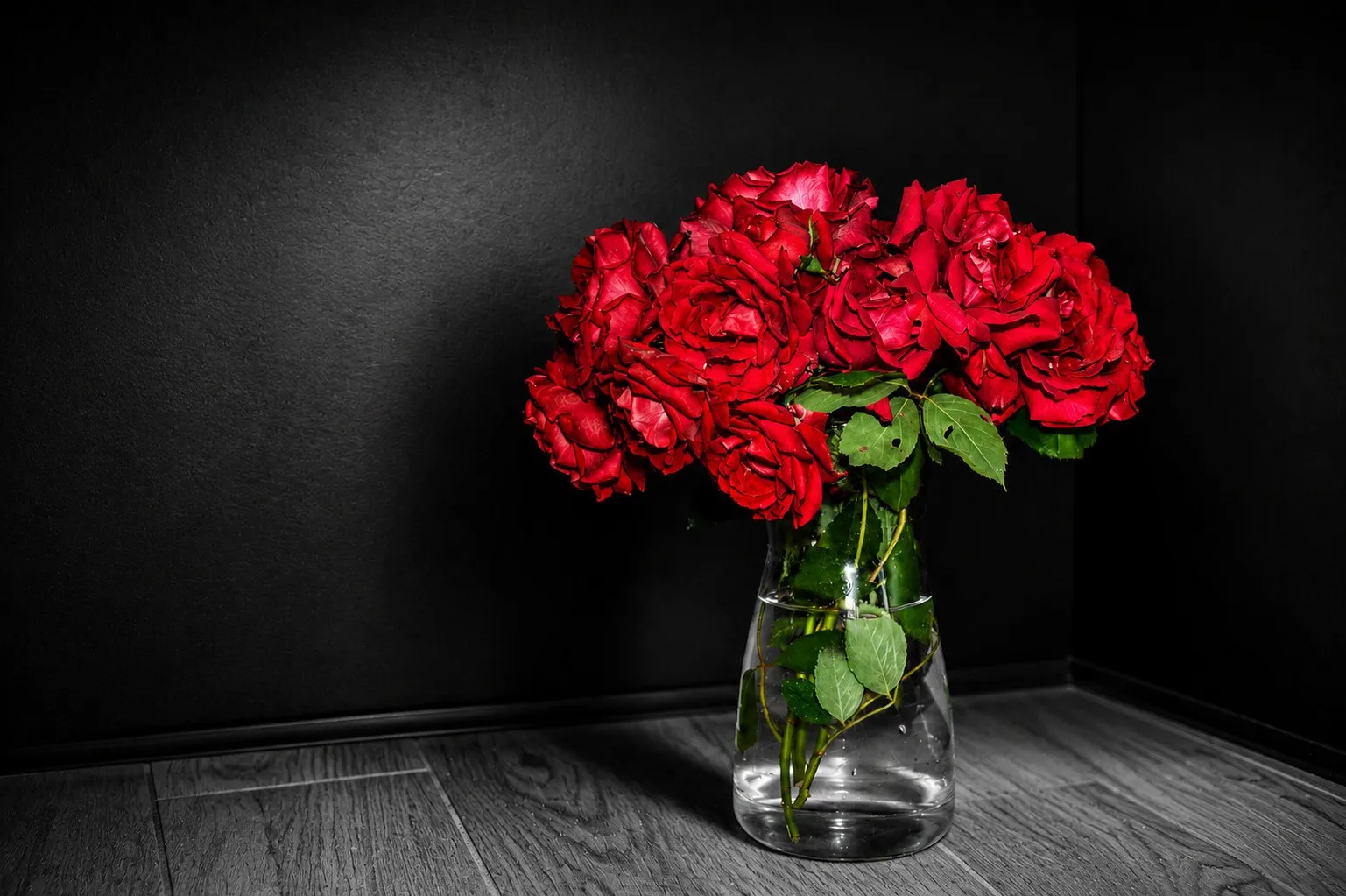noir et blanc couleurs2